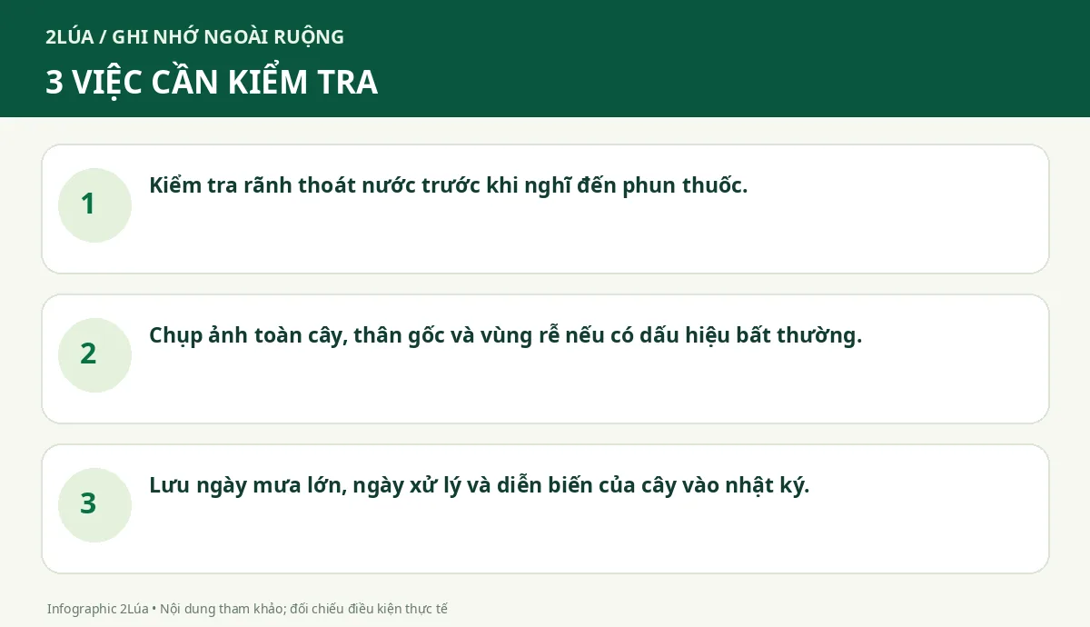 Ba điểm cần kiểm tra khi chăm sóc sầu riêng mùa mưa