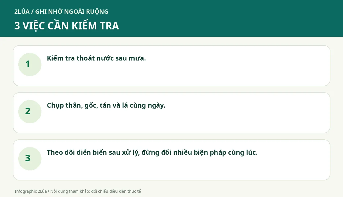 Ba điểm cần kiểm tra khi sầu riêng vàng lá rụng lá