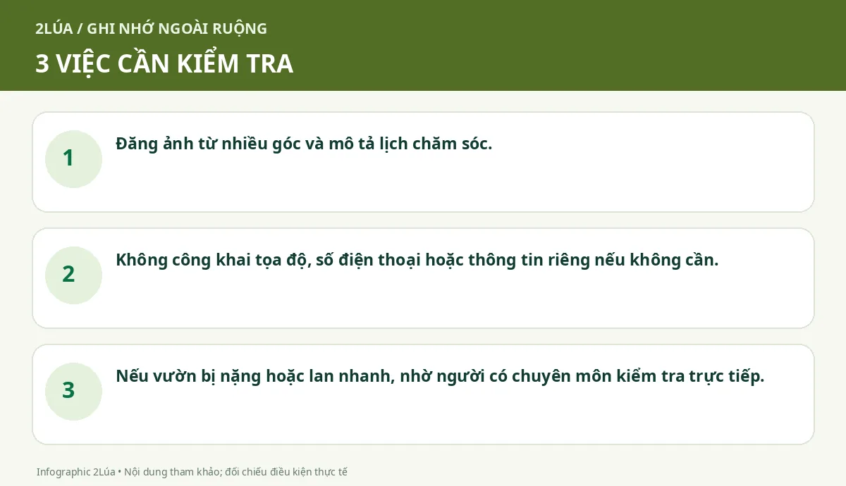 Ba điểm cần kiểm tra khi AI chẩn đoán bệnh cây có chính xác không