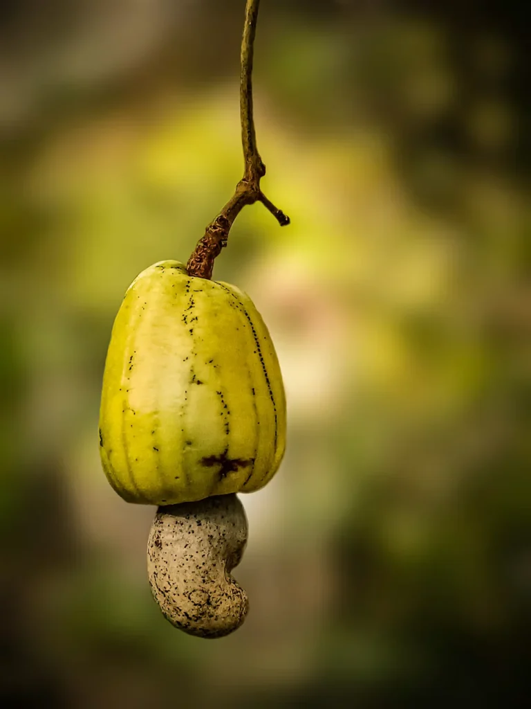 Điều
