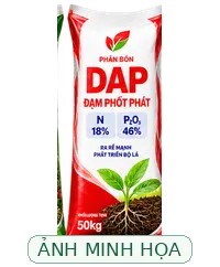 Ảnh minh họa AI, không phải bao bì sản phẩm được xác minh Ảnh minh họa loại Phân DAP