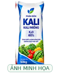 Ảnh minh họa AI, không phải bao bì sản phẩm được xác minh Ảnh minh họa loại Phân Kali miểng