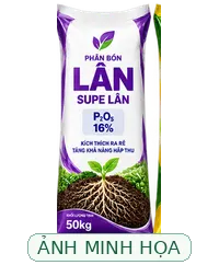 Ảnh minh họa AI, không phải bao bì sản phẩm được xác minh Ảnh minh họa loại Phân Lân