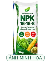 Ảnh minh họa loại Phân NPK 16-16-8