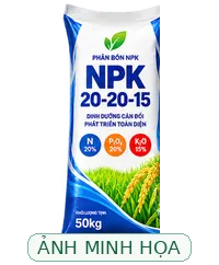 Ảnh minh họa AI, không phải bao bì sản phẩm được xác minh Ảnh minh họa loại Phân NPK 20-20-15