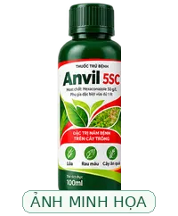 Ảnh minh họa loại ANVIL 5SC (100ML) - Phòng ngừa các loại bệnh cho cây trồng