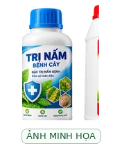 Ảnh minh họa AI, không phải bao bì sản phẩm được xác minh Ảnh minh họa loại Thuốc trừ bệnh cây trồng COC85 (20g) - Trừ nấm và vi khuẩn từ gốc đồng
