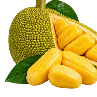 Hình minh họa theo loại nông sản, không phải ảnh xác thực từ nguồn giá Hình minh họa đúng loại nông sản